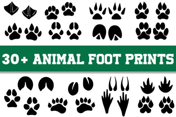 Animal Foot Print SVG: Crafts & Graphics for Local Branding