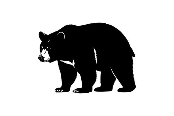 Black Bear Silhouette Walking on White B Graphics & Illustrations