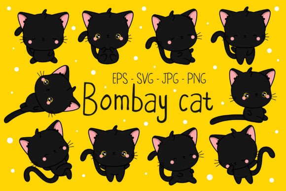 Cute Bombay Cat Illustrations: Graphics & Illustrations Bundle