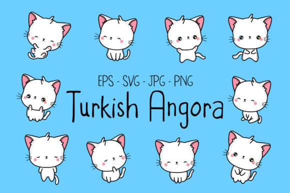 Cute Turkish Angora Cat Illustrations: Graphics & Illustrations