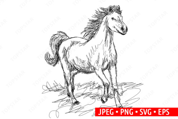 Galloping Horse Illustration Drawing